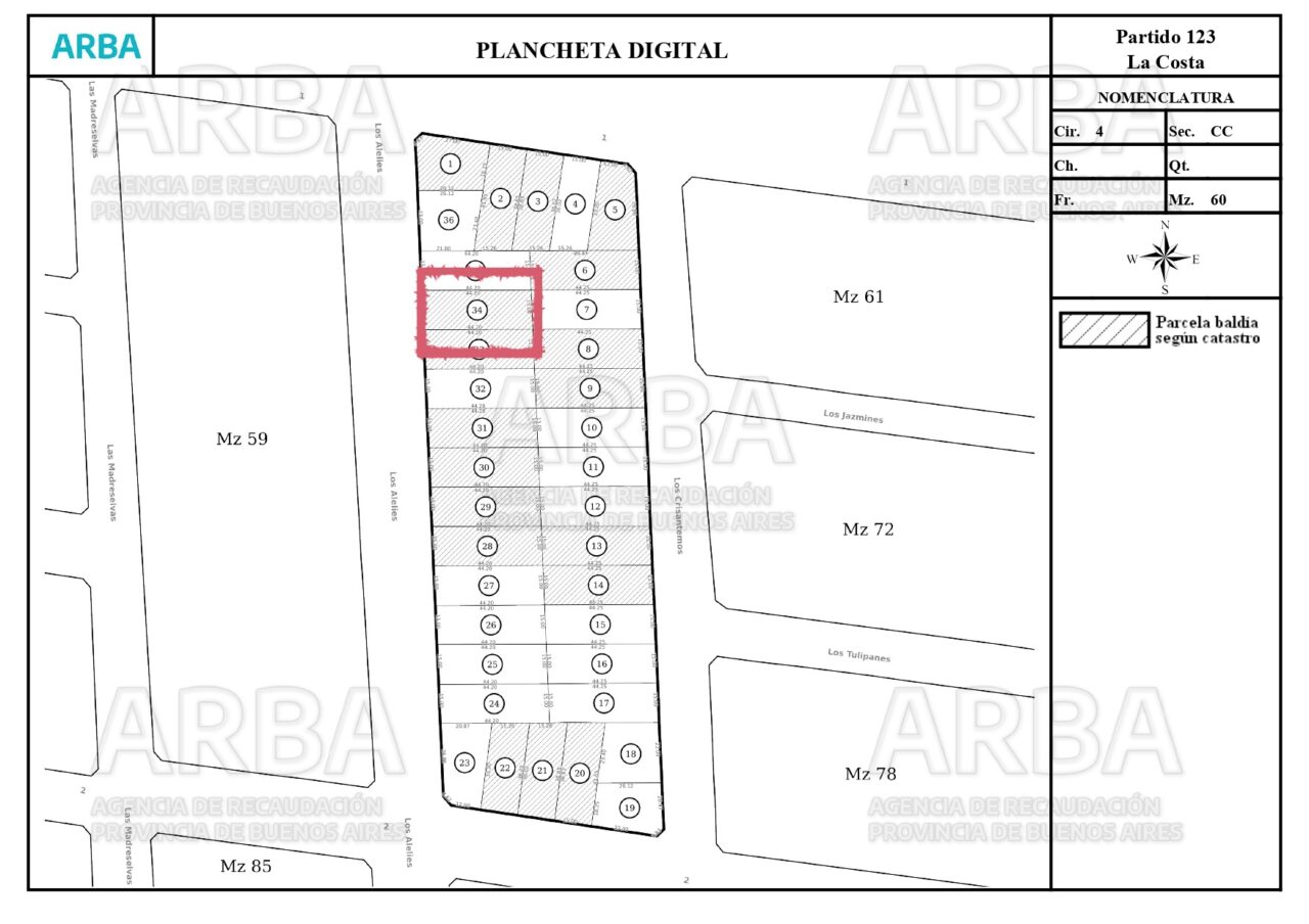 10019 Plancheta