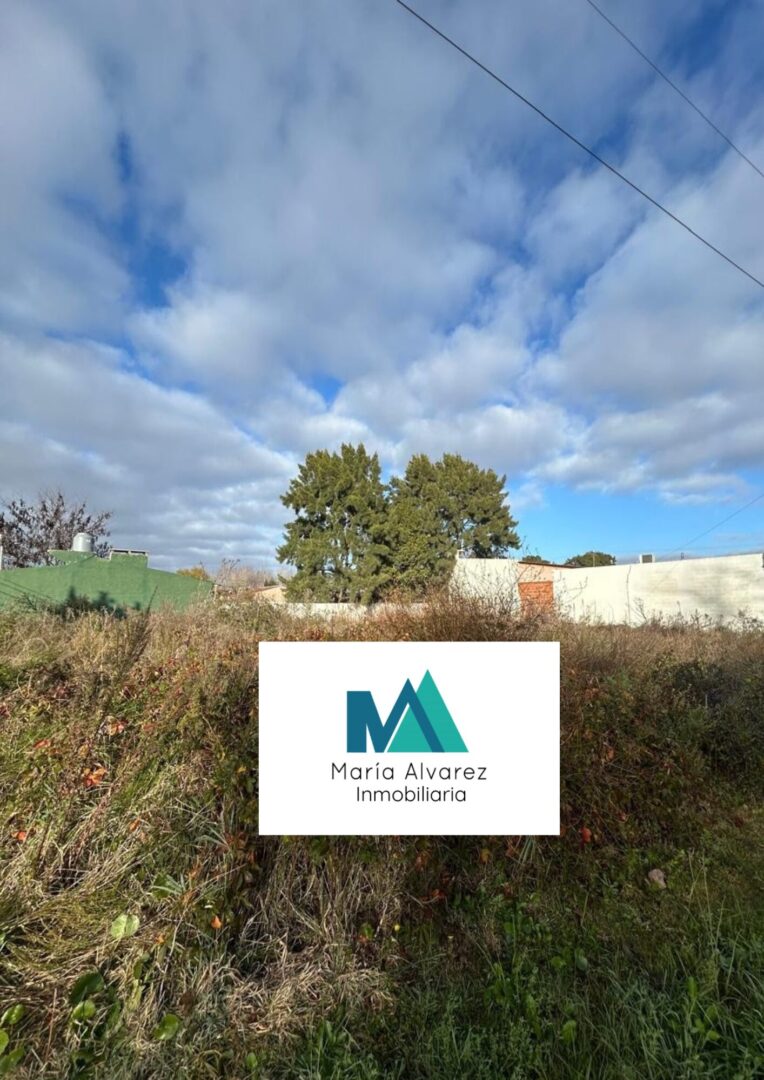 Portada Web – ML (4)