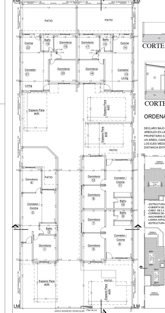 Planta 50067