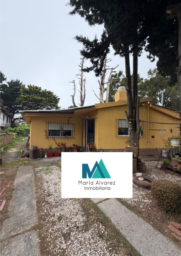 Portada Web – ML (3)